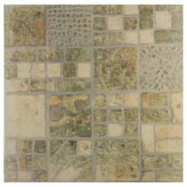1_fs_0050.5ed4