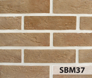 slimbrick_mega_sbm37_big