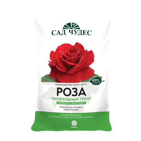 sadchudesrosa25