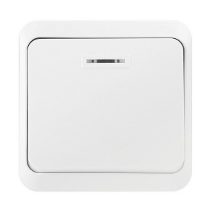 SBE-03w-10-SW1-1