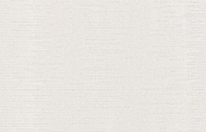 0189-21