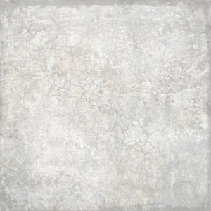 Alyaska_seryy_1_legkiy