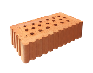 polnotelyj-2