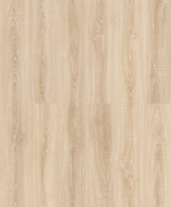 59967_assembly