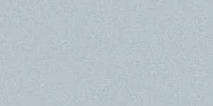 60584-06
