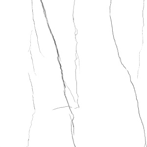 CNR0300