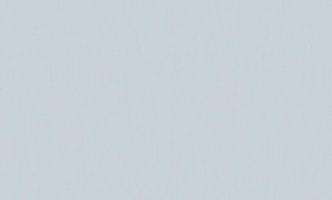 OboiDaErismann60290-11