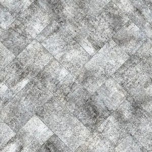 GISSAR (PRINT) 077-11