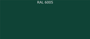 6005